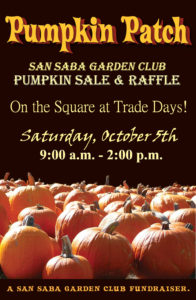 Garden Club Pumpkin Sale & Raffle @ San Saba County Courthouse | San Saba | Texas | United States
